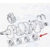 Main shaft bearing set (standard) - Fiat / Lancia